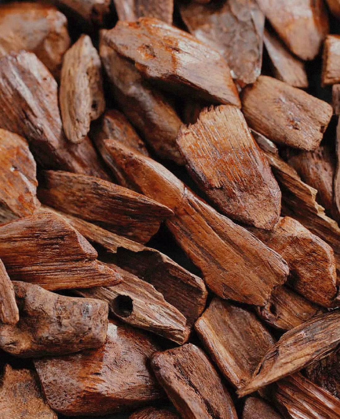 Sandalwood: Something You May Want To Know?